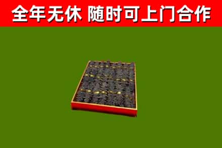 周口市回收海参